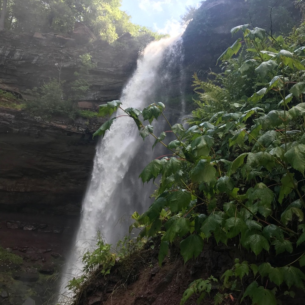 Meet your Posher, Cynthia